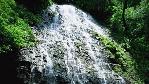 高端智能自动化